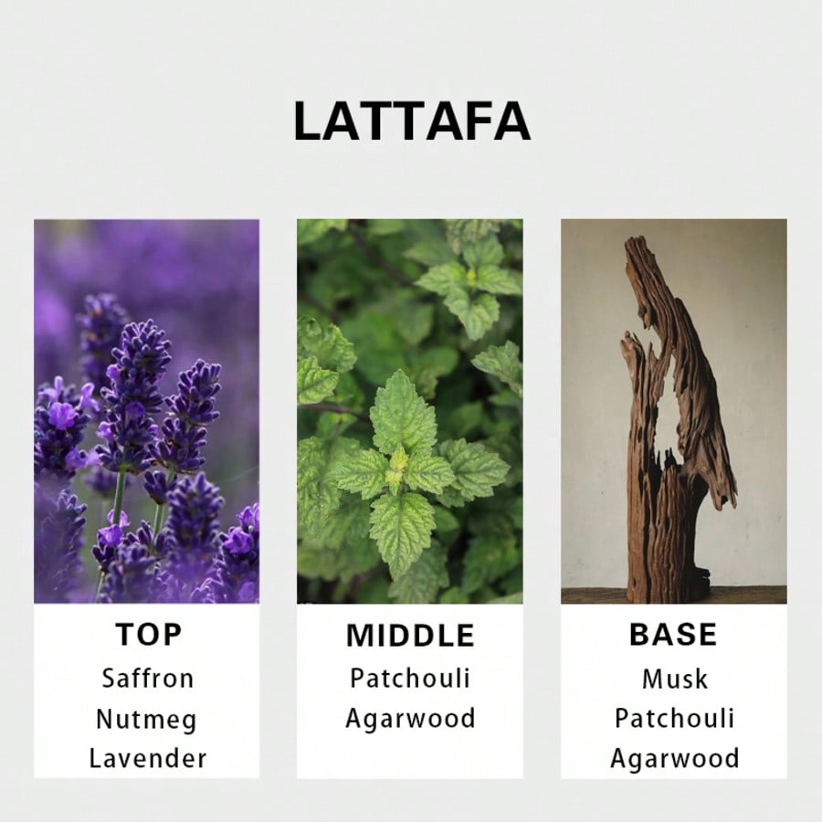 Lattafa Badee Al Oud For Glory - Perfume For Fragrance ulasan dan harga