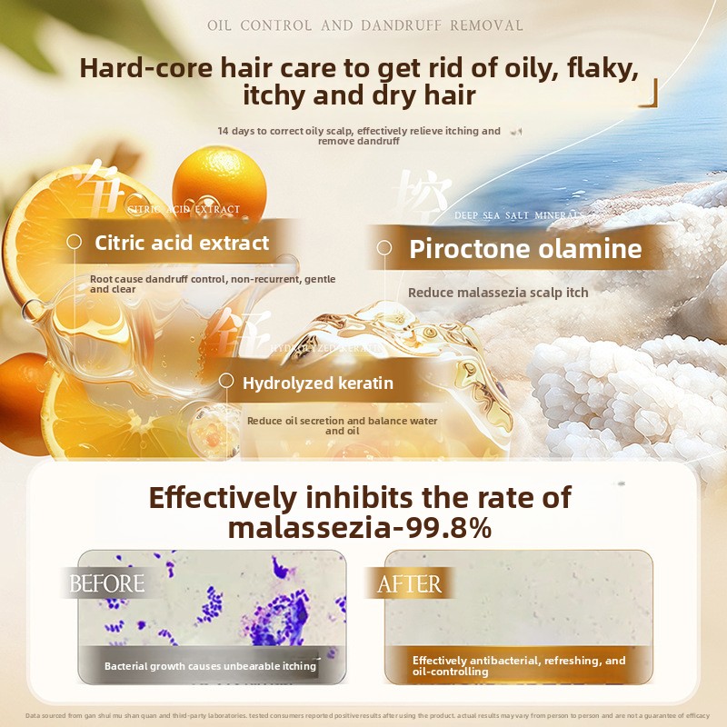 Sampo pengontrol minyak, sampo - Perfume Fragrance Shampoo ulasan dan harga